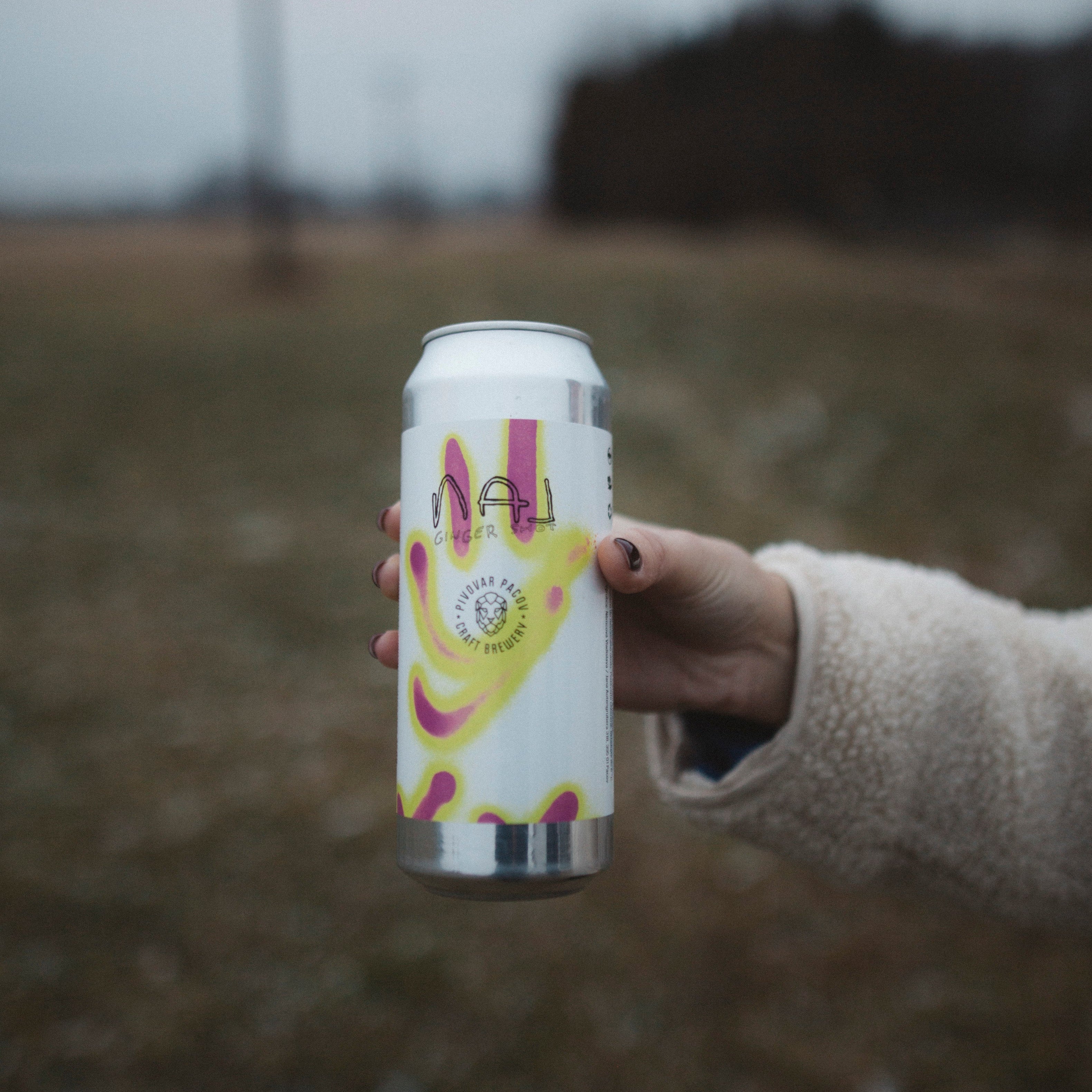 NAJGINGER – PIVO